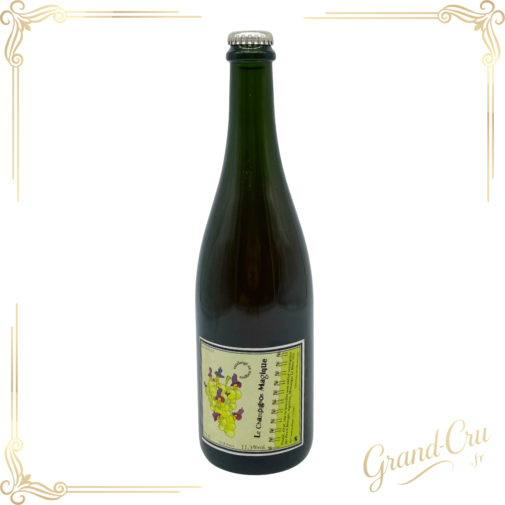 Bouteille de Champignon magique 2010 du Domaine Pierre Beauger, vin rouge millésimé avec étiquette élégante.